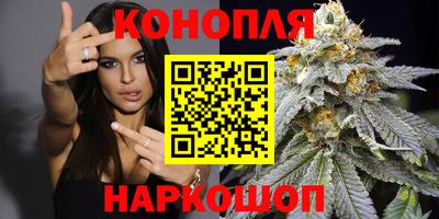 тгк Севастополь