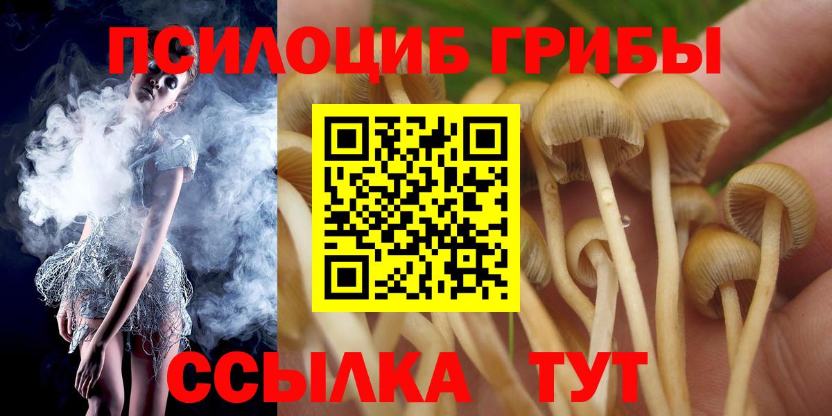 Галлюциногенные грибы MAGIC MUSHROOMS Обнинск